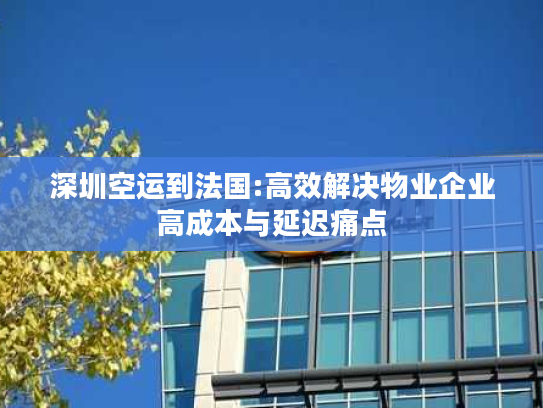 深圳空运到法国:高效解决物业企业高成本与延迟痛点 深圳空运到法国:高效解决物业企业高成本与延迟痛点