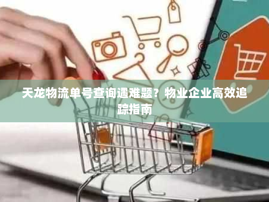 天龙物流单号查询遇难题?物业企业高效追踪指南 天龙物流单号查询遇难题?物业企业高效追踪指南