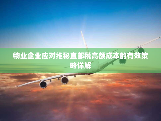 物业企业应对维秘直邮税高额成本的有效策略详解 物业企业应对维秘直邮税高额成本的有效策略详解