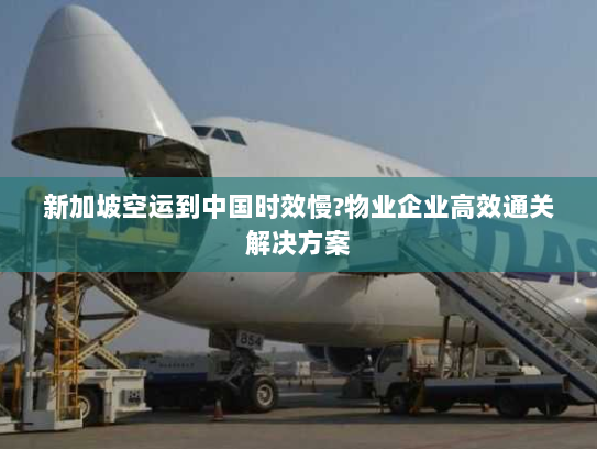 新加坡空运到中国时效慢?物业企业高效通关解决方案 新加坡空运到中国时效慢?物业企业高效通关解决方案
