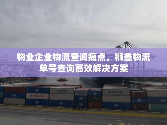 物业企业物流查询痛点，狮鑫物流单号查询高效解决方案
