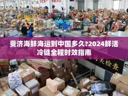 斐济海鲜海运到中国多久?2024鲜活冷链全程时效指南