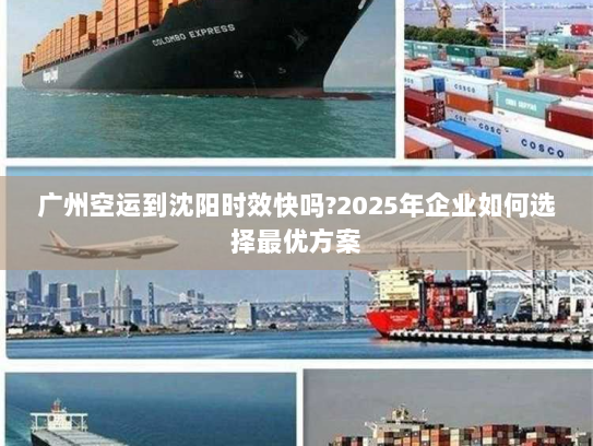 广州空运到沈阳时效快吗?2025年企业如何选择最优方案 广州空运到沈阳时效快吗?2025年企业如何选择最优方案