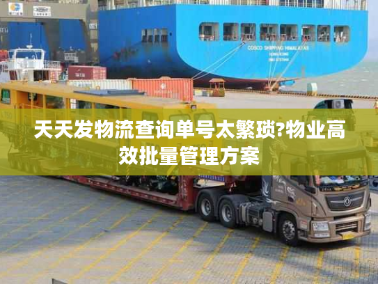 天天发物流查询单号太繁琐?物业高效批量管理方案 天天发物流查询单号太繁琐?物业高效批量管理方案