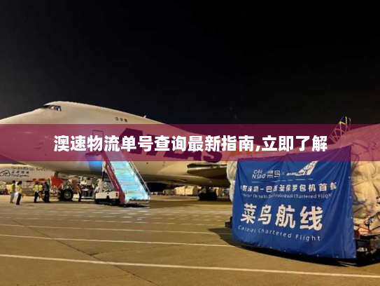 澳速物流单号查询最新指南,立即了解 澳速物流单号查询最新指南,立即了解