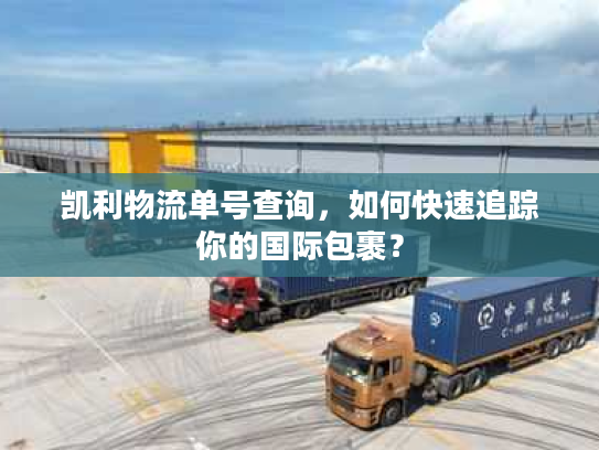 凯利物流单号查询，如何快速追踪你的国际包裹？