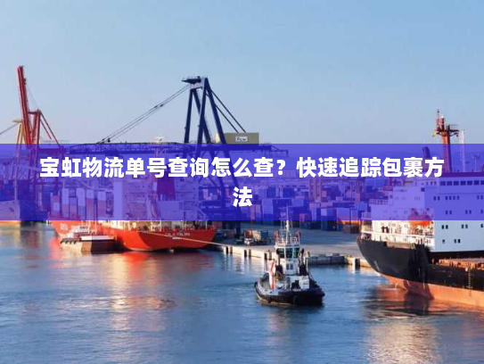 宝虹物流单号查询怎么查？快速追踪包裹方法