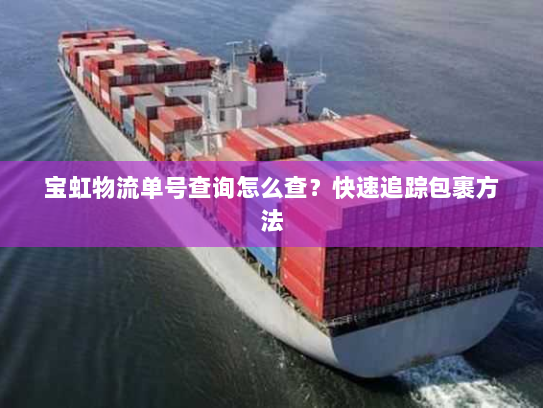 宝虹物流单号查询怎么查？快速追踪包裹方法