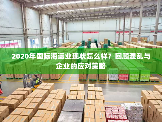 2020年国际海运业现状怎么样?回顾混乱与企业的应对策略 2020年国际海运业现状怎么样?回顾混乱与企业的应对策略