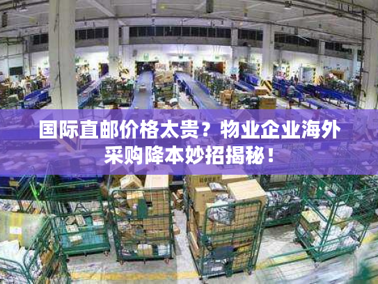 国际直邮价格太贵?物业企业海外采购降本妙招揭秘! 国际直邮价格太贵?物业企业海外采购降本妙招揭秘!