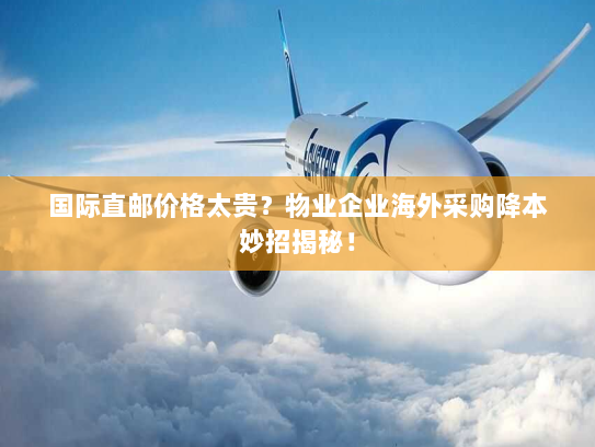 国际直邮价格太贵？物业企业海外采购降本妙招揭秘！