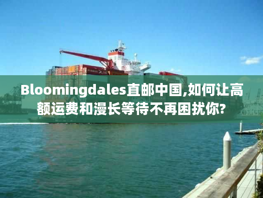 Bloomingdales直邮中国,如何让高额运费和漫长等待不再困扰你?