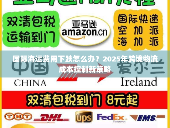 国际海运费用下跌怎么办？2025年跨境物流成本控制新策略