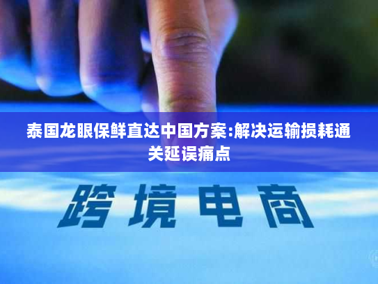 泰国龙眼保鲜直达中国方案:解决运输损耗通关延误痛点 泰国龙眼保鲜直达中国方案:解决运输损耗通关延误痛点