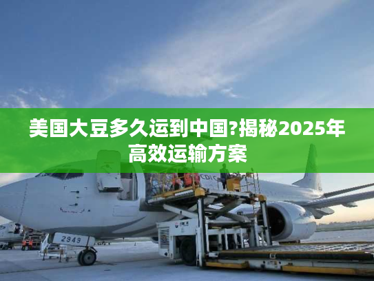 美国大豆多久运到中国?揭秘2025年高效运输方案