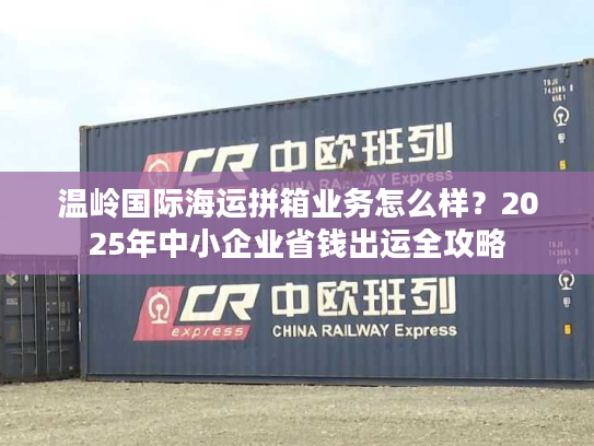 温岭国际海运拼箱业务怎么样？2025年中小企业省钱出运全攻略