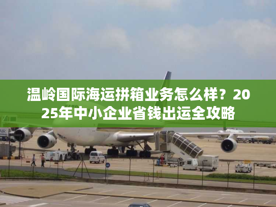 温岭国际海运拼箱业务怎么样？2025年中小企业省钱出运全攻略
