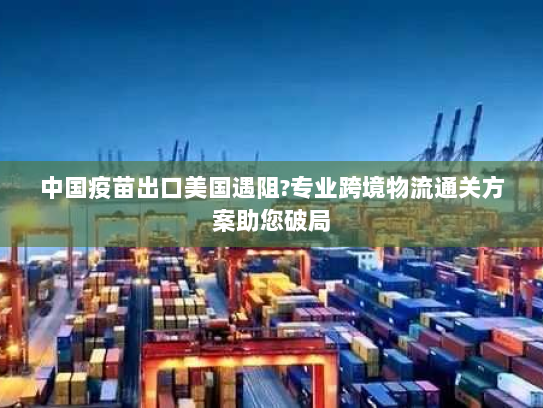 中国疫苗出口美国遇阻?专业跨境物流通关方案助您破局 中国疫苗出口美国遇阻?专业跨境物流通关方案助您破局