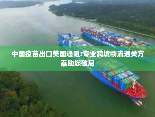 中国疫苗出口美国遇阻?专业跨境物流通关方案助您破局 中国疫苗出口美国遇阻?专业跨境物流通关方案助您破局
