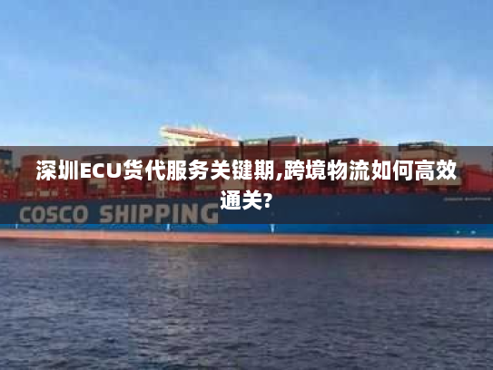 深圳ECU货代服务关键期,跨境物流如何高效通关?