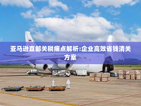 亚马逊直邮关税痛点解析:企业高效省钱清关方案 亚马逊直邮关税痛点解析:企业高效省钱清关方案