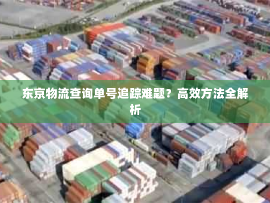 东京物流查询单号追踪难题?高效方法全解析 东京物流查询单号追踪难题?高效方法全解析
