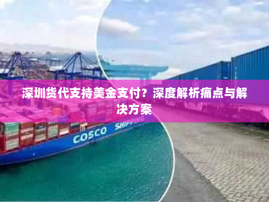 深圳货代支持美金支付?深度解析痛点与解决方案 深圳货代支持美金支付?深度解析痛点与解决方案