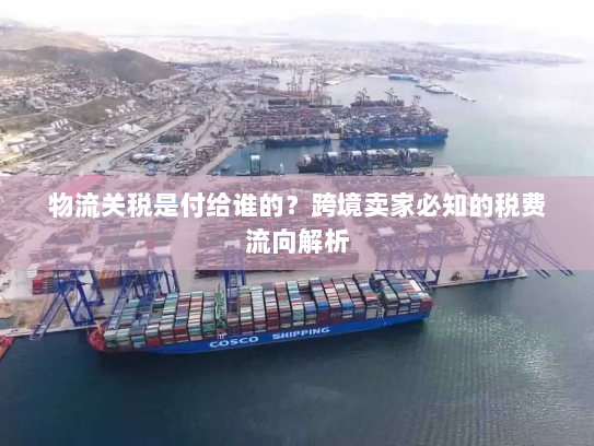 物流关税是付给谁的?跨境卖家必知的税费流向解析 物流关税是付给谁的?跨境卖家必知的税费流向解析