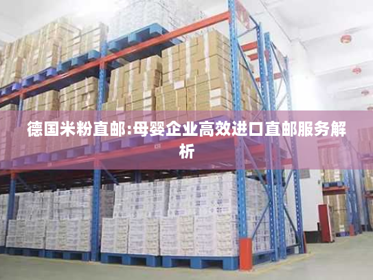 德国米粉直邮:母婴企业高效进口直邮服务解析 德国米粉直邮:母婴企业高效进口直邮服务解析