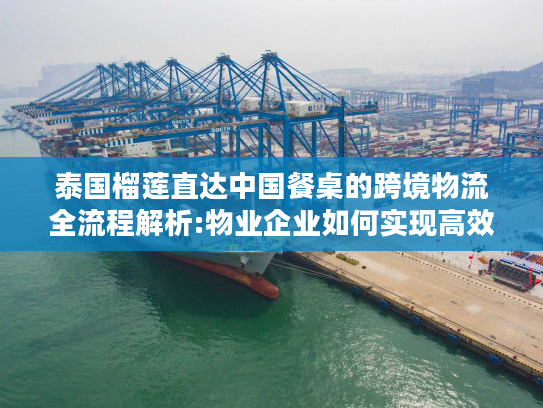 泰国榴莲直达中国餐桌的跨境物流全流程解析:物业企业如何实现高效配送?