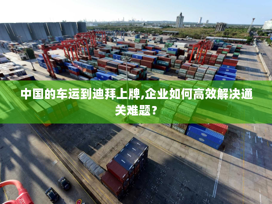 中国的车运到迪拜上牌,企业如何高效解决通关难题？