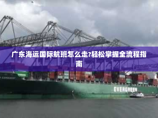 广东海运国际航班怎么走?轻松掌握全流程指南 广东海运国际航班怎么走?轻松掌握全流程指南