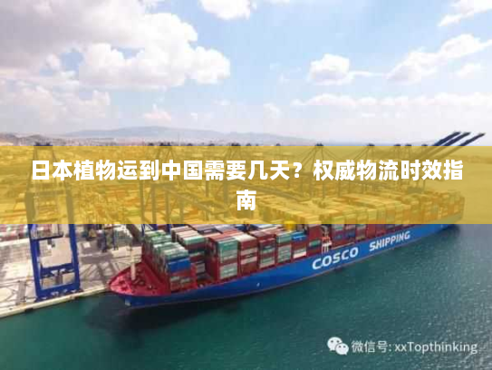 日本植物运到中国需要几天?权威物流时效指南 日本植物运到中国需要几天?权威物流时效指南