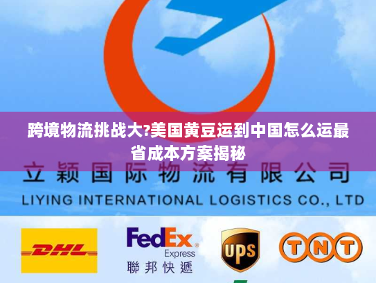 跨境物流挑战大?美国黄豆运到中国怎么运最省成本方案揭秘 跨境物流挑战大?美国黄豆运到中国怎么运最省成本方案揭秘