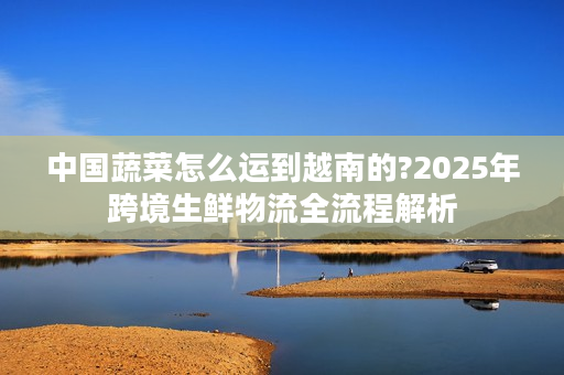 中国蔬菜怎么运到越南的?2025年跨境生鲜物流全流程解析