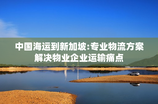 中国海运到新加坡:专业物流方案解决物业企业运输痛点