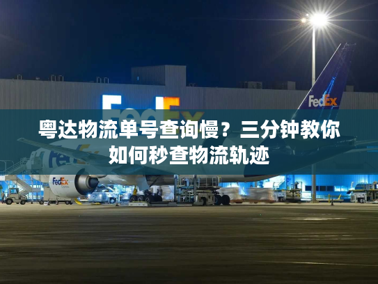 粤达物流单号查询慢？三分钟教你如何秒查物流轨迹