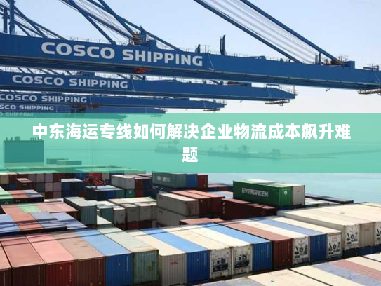 中东海运专线如何解决企业物流成本飙升难题 中东海运专线如何解决企业物流成本飙升难题