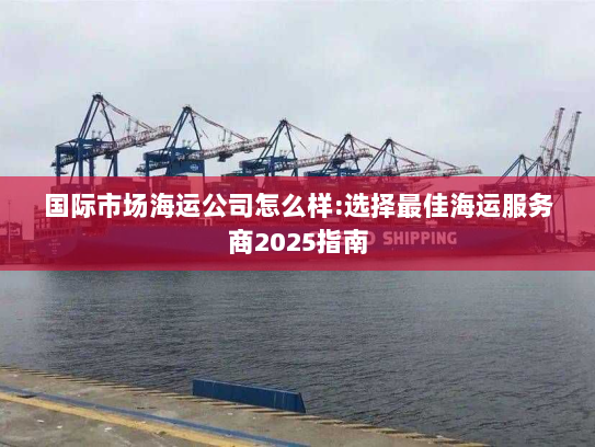 国际市场海运公司怎么样:选择最佳海运服务商2025指南 国际市场海运公司怎么样:选择最佳海运服务商2025指南