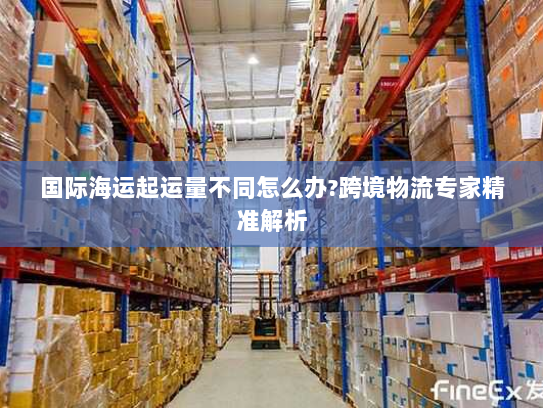 国际海运起运量不同怎么办?跨境物流专家精准解析 国际海运起运量不同怎么办?跨境物流专家精准解析