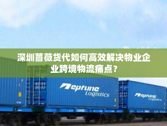 深圳蔷薇货代如何高效解决物业企业跨境物流痛点？