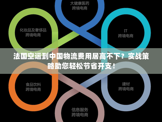 法国空运到中国物流费用居高不下?实战策略助您轻松节省开支! 法国空运到中国物流费用居高不下?实战策略助您轻松节省开支!