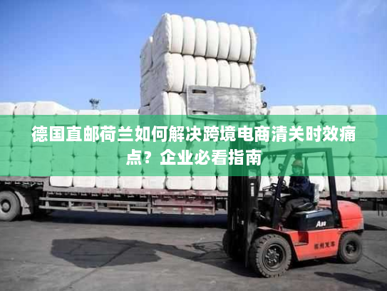 德国直邮荷兰如何解决跨境电商清关时效痛点?企业必看指南 德国直邮荷兰如何解决跨境电商清关时效痛点?企业必看指南