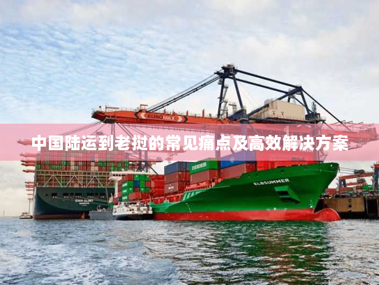中国陆运到老挝的常见痛点及高效解决方案 中国陆运到老挝的常见痛点及高效解决方案