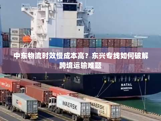 中东物流时效慢成本高?东兴专线如何破解跨境运输难题 中东物流时效慢成本高?东兴专线如何破解跨境运输难题