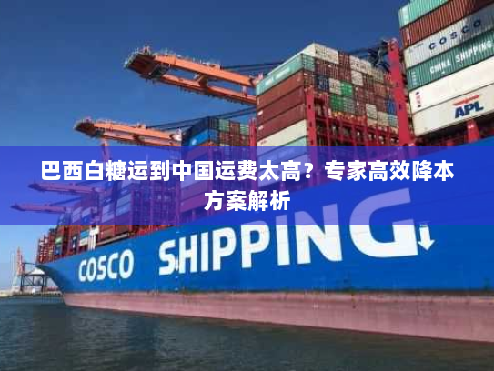 巴西白糖运到中国运费太高？专家高效降本方案解析