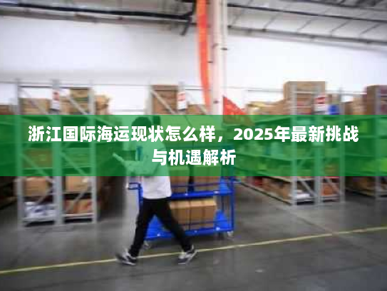 浙江国际海运现状怎么样，2025年最新挑战与机遇解析