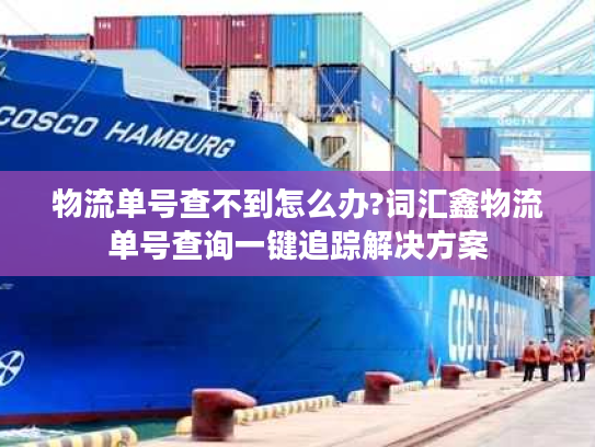 物流单号查不到怎么办?词汇鑫物流单号查询一键追踪解决方案 物流单号查不到怎么办?词汇鑫物流单号查询一键追踪解决方案