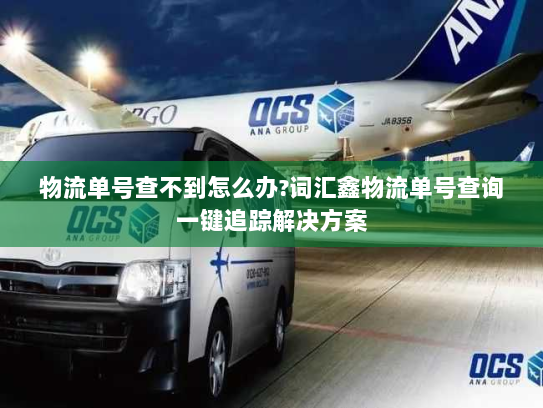 物流单号查不到怎么办?词汇鑫物流单号查询一键追踪解决方案 物流单号查不到怎么办?词汇鑫物流单号查询一键追踪解决方案