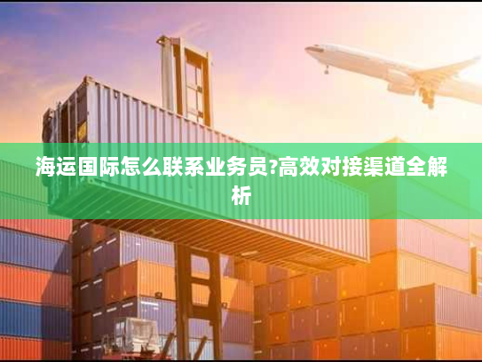 海运国际怎么联系业务员?高效对接渠道全解析